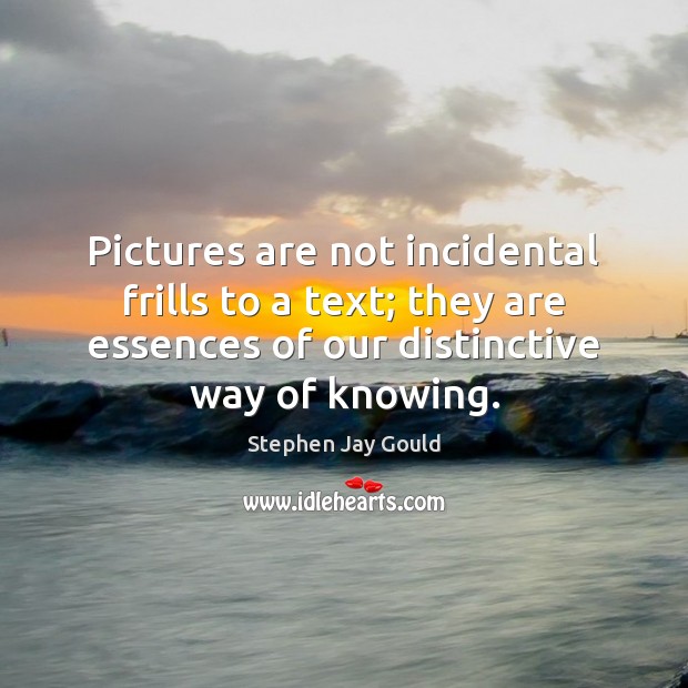 Pictures are not incidental frills to a text; they are essences of Stephen Jay Gould Picture Quote