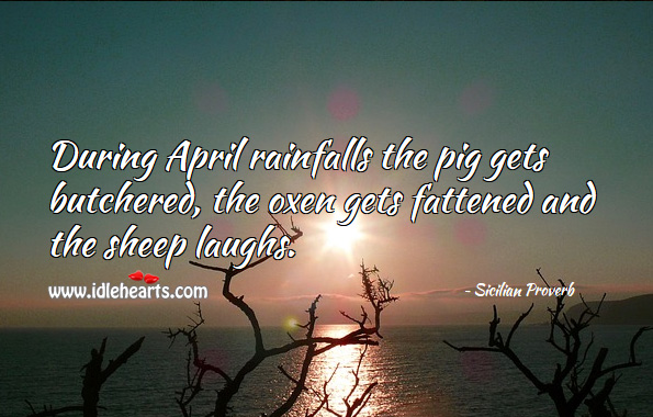 During april rainfalls the pig gets butchered, the oxen gets fattened and the sheep laughs. 