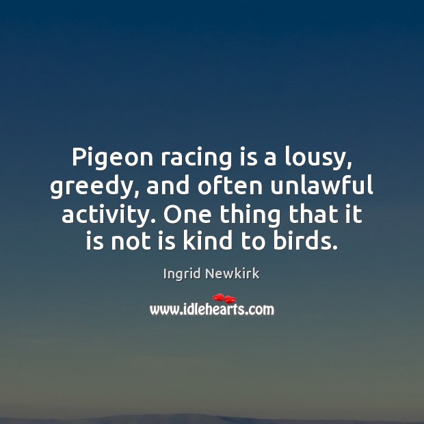 Pigeon racing is a lousy, greedy, and often unlawful activity. One thing Image