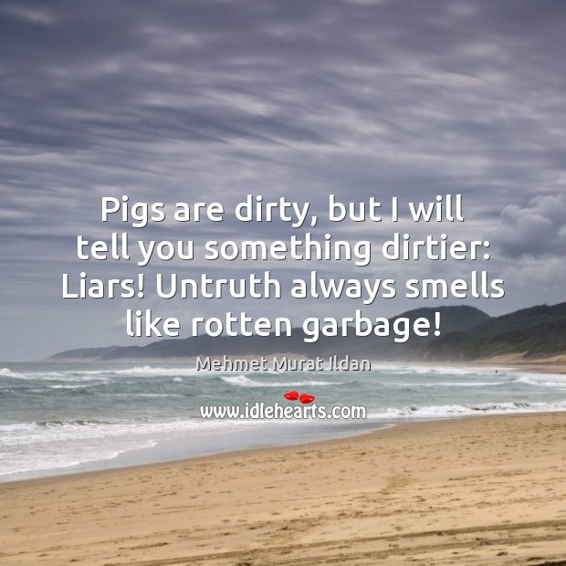 Pigs are dirty, but I will tell you something dirtier: Liars! Untruth Mehmet Murat Ildan Picture Quote
