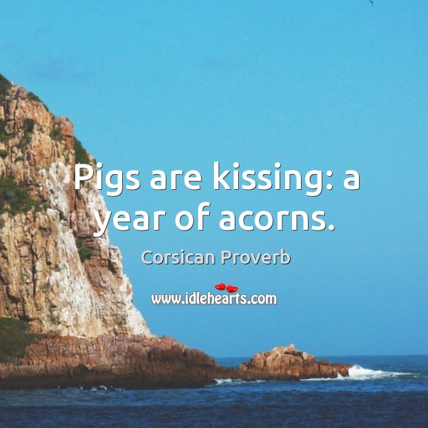 Pigs are kissing: a year of acorns. Corsican Proverbs Image