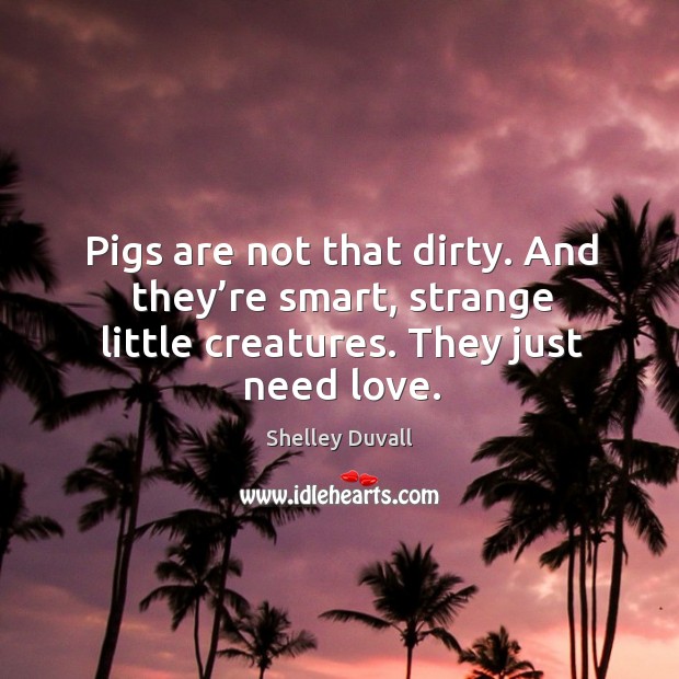 Pigs are not that dirty. And they’re smart, strange little creatures. They just need love. Shelley Duvall Picture Quote