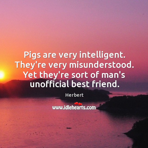Pigs are very intelligent. They’re very misunderstood. Yet they’re sort of man’s Image