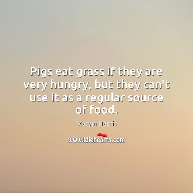 Pigs eat grass if they are very hungry, but they can’t use it as a regular source of food. Marvin Harris Picture Quote