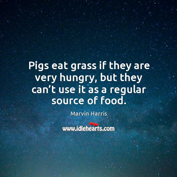 Pigs eat grass if they are very hungry, but they can’t use it as a regular source of food. Image