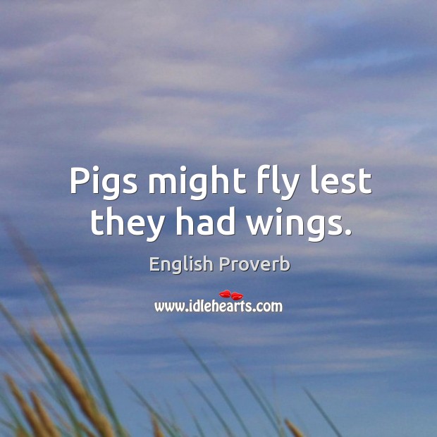 Pigs might fly lest they had wings. Image