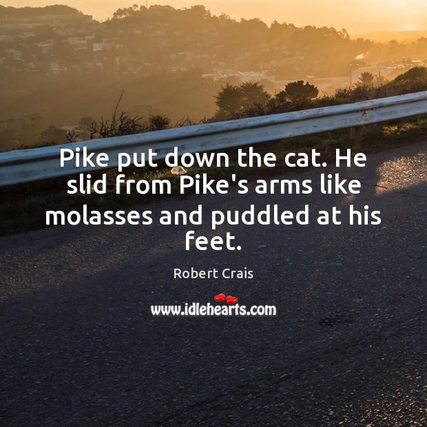 Pike put down the cat. He slid from Pike’s arms like molasses and puddled at his feet. Image
