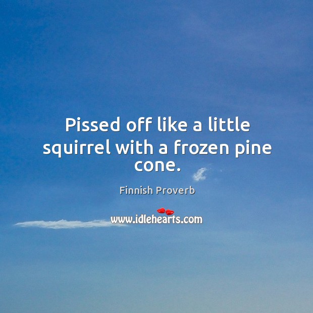 Pissed off like a little squirrel with a frozen pine cone. Finnish Proverbs Image