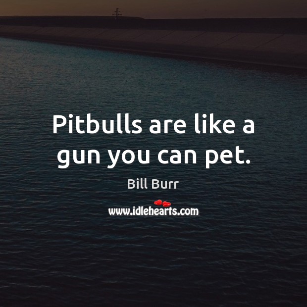 Pitbulls are like a gun you can pet. Bill Burr Picture Quote