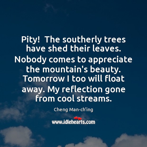 Pity!  The southerly trees have shed their leaves. Nobody comes to appreciate Cheng Man-ch’ing Picture Quote