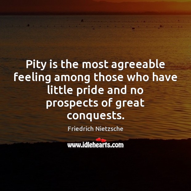Pity is the most agreeable feeling among those who have little pride Friedrich Nietzsche Picture Quote