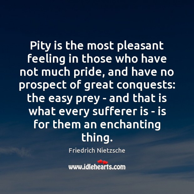 Pity is the most pleasant feeling in those who have not much Friedrich Nietzsche Picture Quote