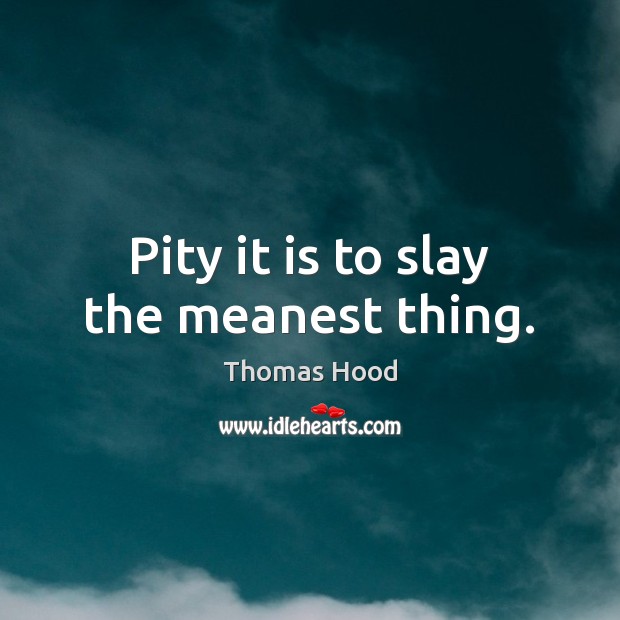 Pity it is to slay the meanest thing. Thomas Hood Picture Quote