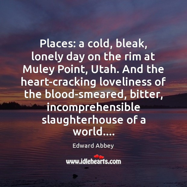 Places: a cold, bleak, lonely day on the rim at Muley Point, Edward Abbey Picture Quote