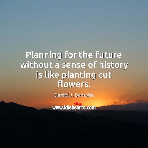 Planning for the future without a sense of history is like planting cut flowers. Daniel J. Boorstin Picture Quote