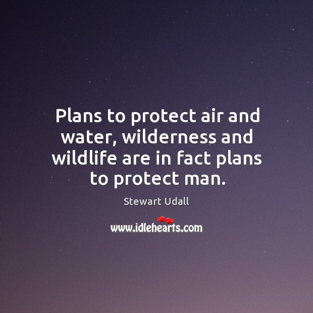 Plans to protect air and water, wilderness and wildlife are in fact plans to protect man. Stewart Udall Picture Quote