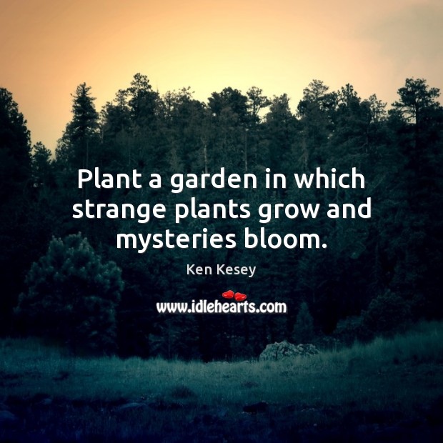 Plant a garden in which strange plants grow and mysteries bloom. Ken Kesey Picture Quote