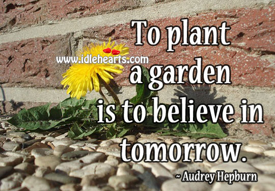 To plant a garden is to believe in tomorrow. Audrey Hepburn Picture Quote