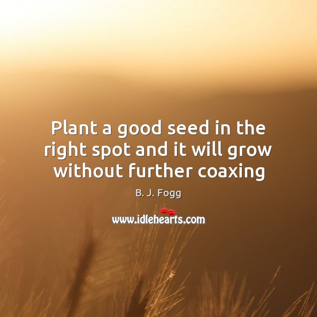 Plant a good seed in the right spot and it will grow without further coaxing B. J. Fogg Picture Quote
