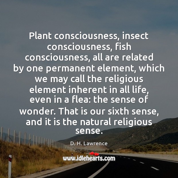 Plant consciousness, insect consciousness, fish consciousness, all are related by one permanent D. H. Lawrence Picture Quote