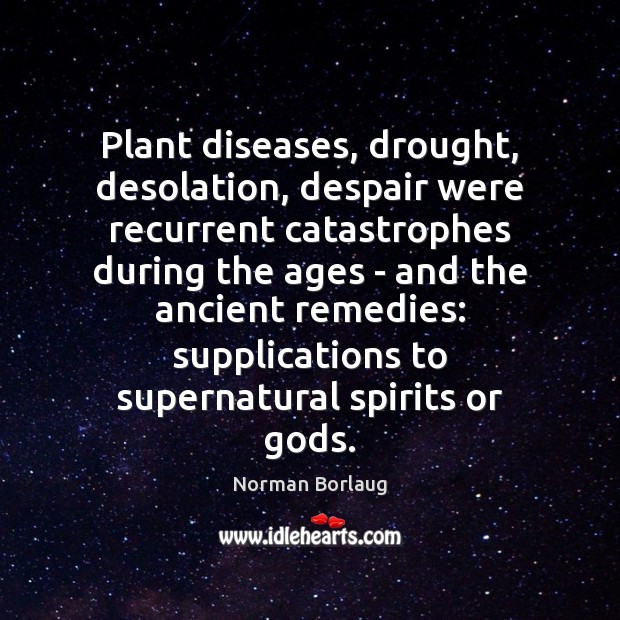 Plant diseases, drought, desolation, despair were recurrent catastrophes during the ages – Norman Borlaug Picture Quote