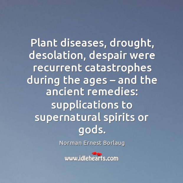 Plant diseases, drought, desolation, despair were recurrent catastrophes during the ages – Norman Ernest Borlaug Picture Quote