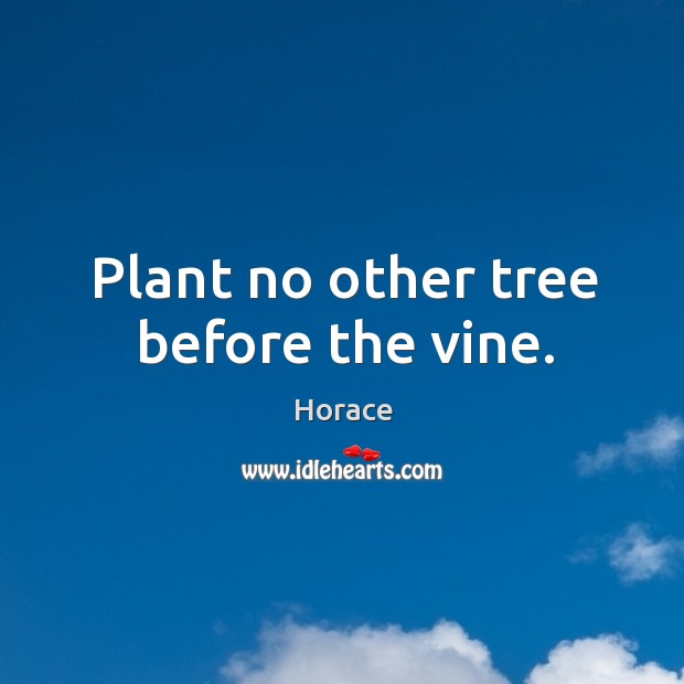 Plant no other tree before the vine. Horace Picture Quote