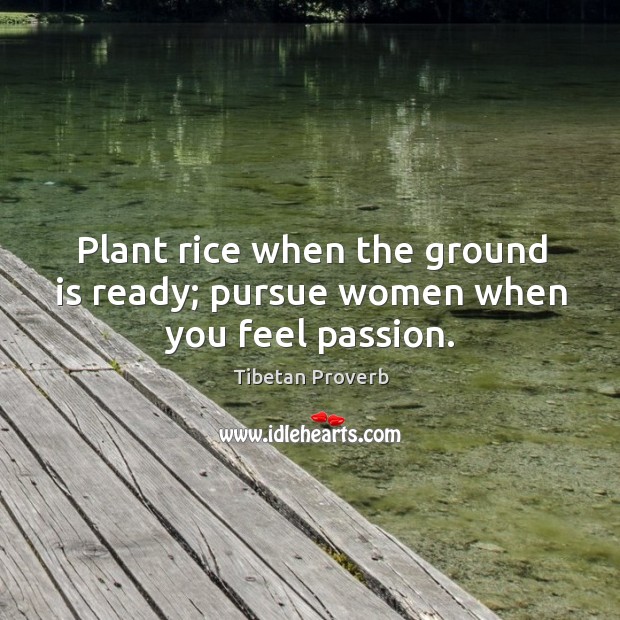 Plant rice when the ground is ready; pursue women when you feel passion. Tibetan Proverbs Image