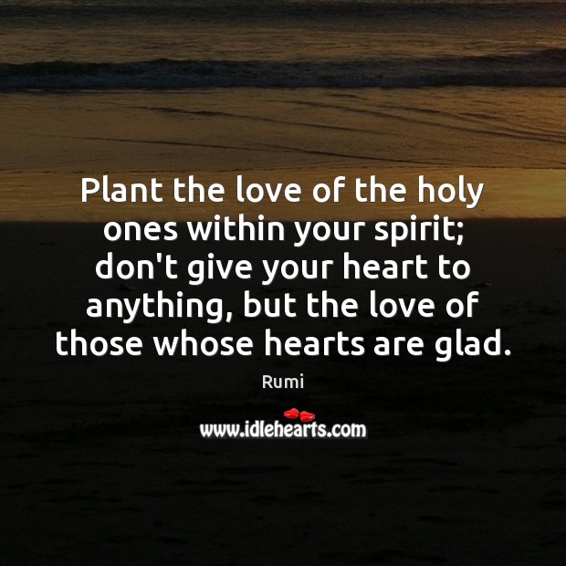Plant the love of the holy ones within your spirit; don’t give Rumi Picture Quote