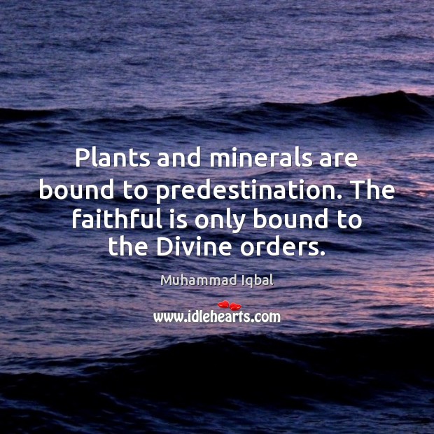 Plants and minerals are bound to predestination. The faithful is only bound Image