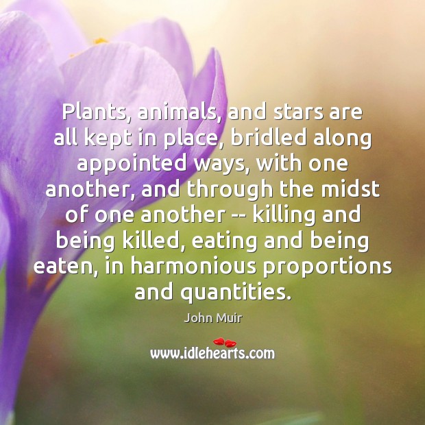 Plants, animals, and stars are all kept in place, bridled along appointed Image