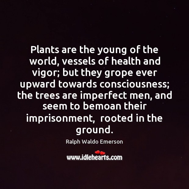 Plants are the young of the world, vessels of health and vigor; Health Quotes Image