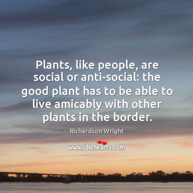 Plants, like people, are social or anti-social: the good plant has to Image