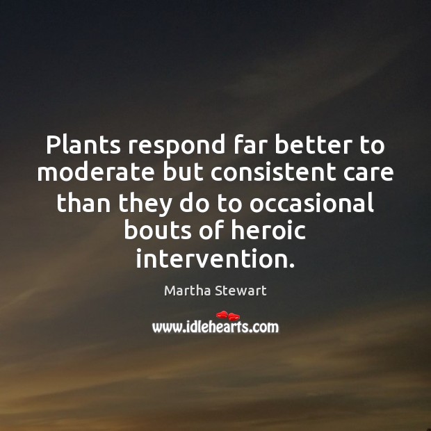 Plants respond far better to moderate but consistent care than they do Martha Stewart Picture Quote