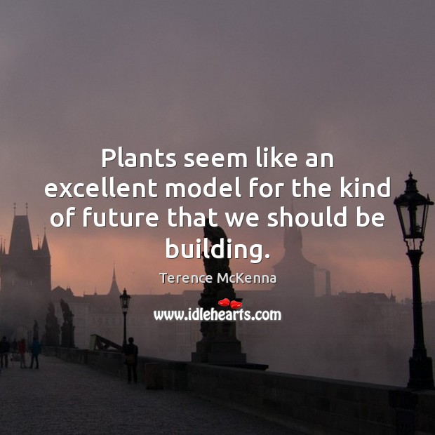 Plants seem like an excellent model for the kind of future that we should be building. Terence McKenna Picture Quote