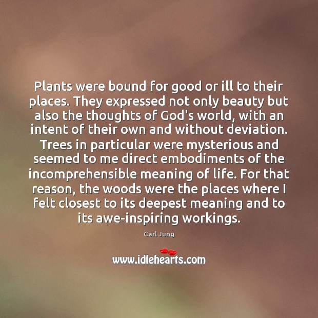 Plants were bound for good or ill to their places. They expressed Carl Jung Picture Quote