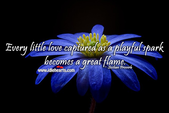 Every little love captured as a playful spark becomes a great flame. Sicilian Proverbs Image