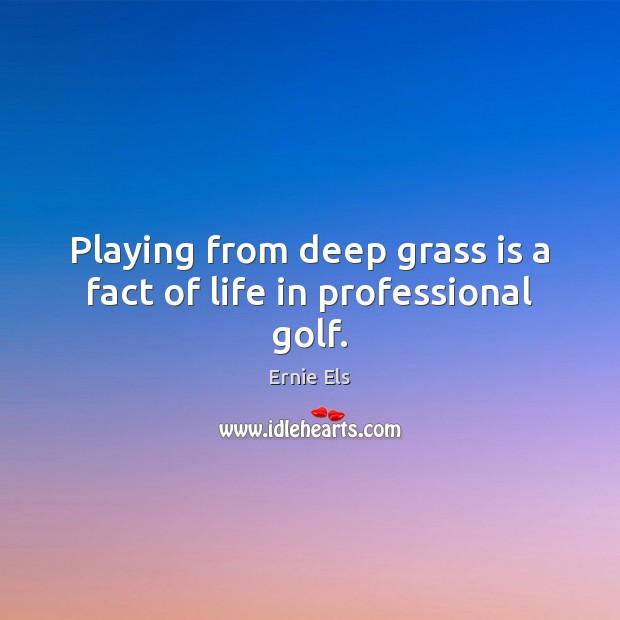 Playing from deep grass is a fact of life in professional golf. Ernie Els Picture Quote