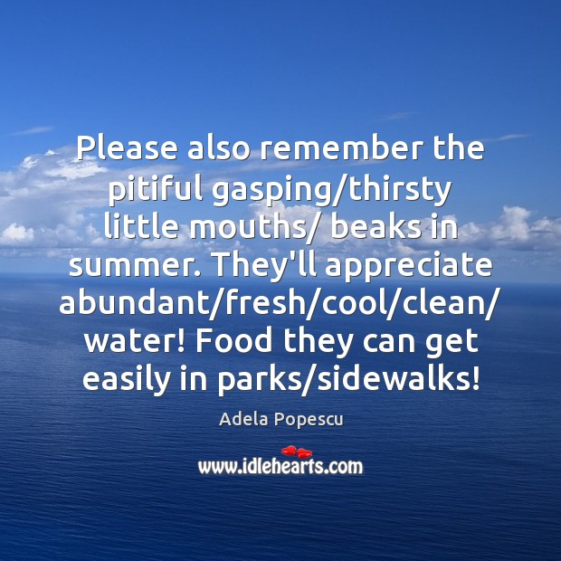 Please also remember the pitiful gasping/thirsty little mouths/ beaks in summer. Image