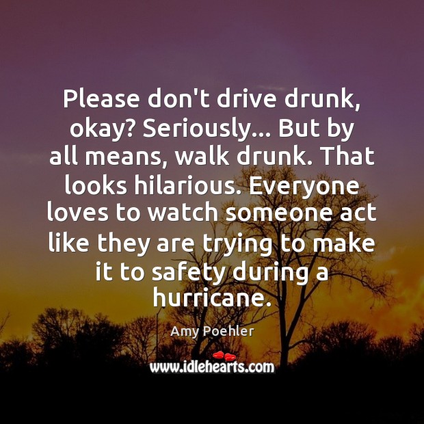 Please don’t drive drunk, okay? Seriously… But by all means, walk drunk. Amy Poehler Picture Quote