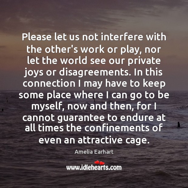 Please let us not interfere with the other’s work or play, nor Amelia Earhart Picture Quote