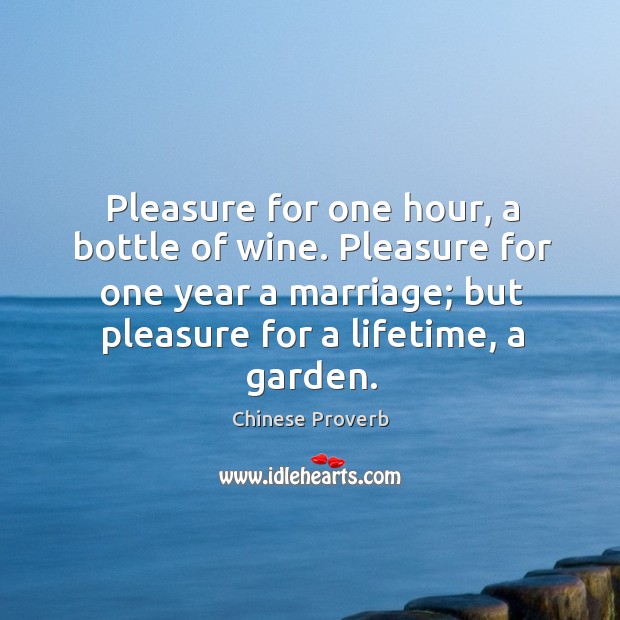 Pleasure for one hour, a bottle of wine. Pleasure for one year a marriage Image