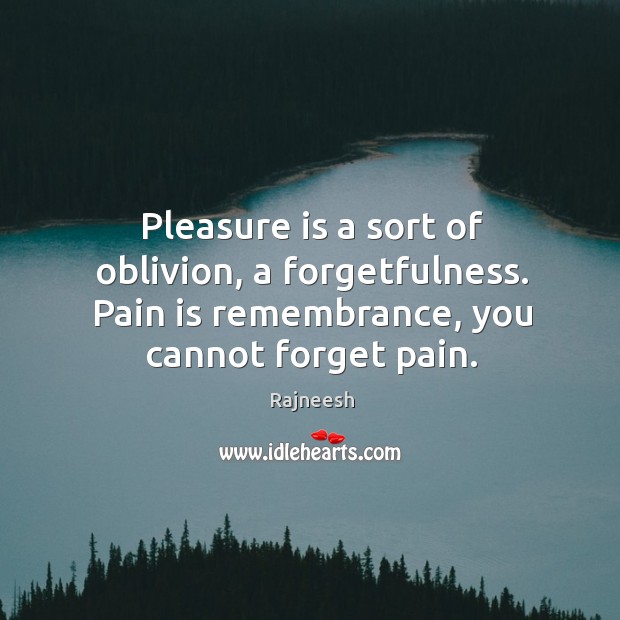 Pleasure is a sort of oblivion, a forgetfulness. Pain is remembrance, you Image