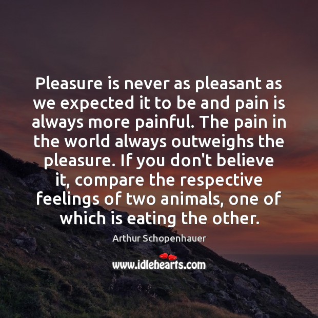 Pleasure is never as pleasant as we expected it to be and Arthur Schopenhauer Picture Quote