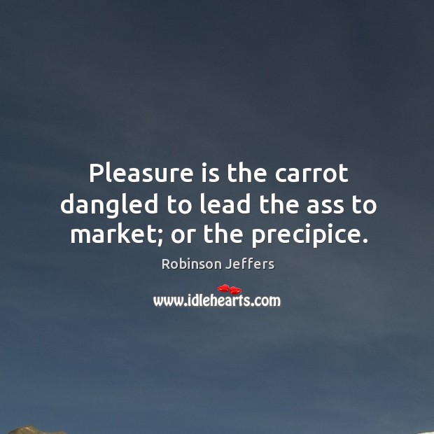 Pleasure is the carrot dangled to lead the ass to market; or the precipice. Robinson Jeffers Picture Quote