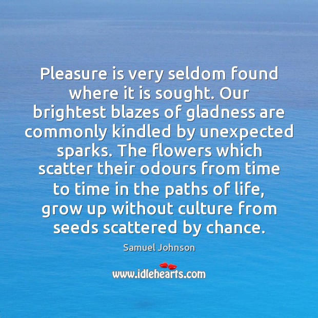 Pleasure is very seldom found where it is sought. Our brightest blazes Chance Quotes Image