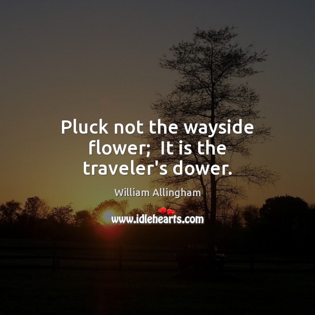 Pluck not the wayside flower;  It is the traveler’s dower. William Allingham Picture Quote