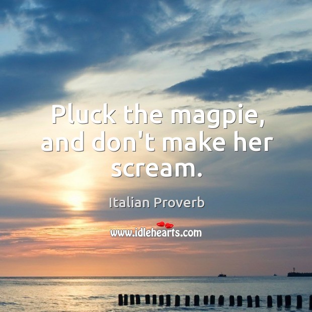 Pluck the magpie, and don’t make her scream. Image