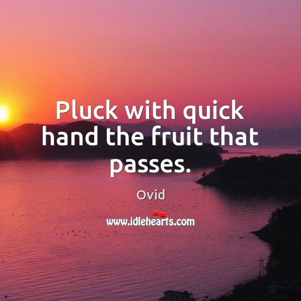 Pluck with quick hand the fruit that passes. Ovid Picture Quote