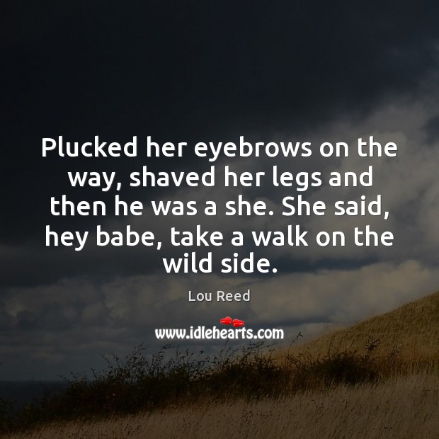 Plucked her eyebrows on the way, shaved her legs and then he Lou Reed Picture Quote